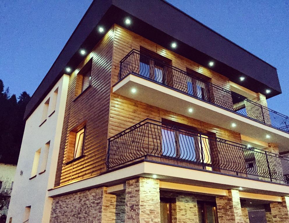 Willa Karolina Apartment Muszyna Exterior photo